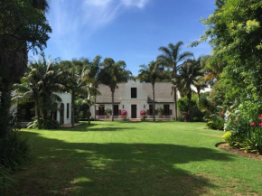  The White Manor  Кейптаун